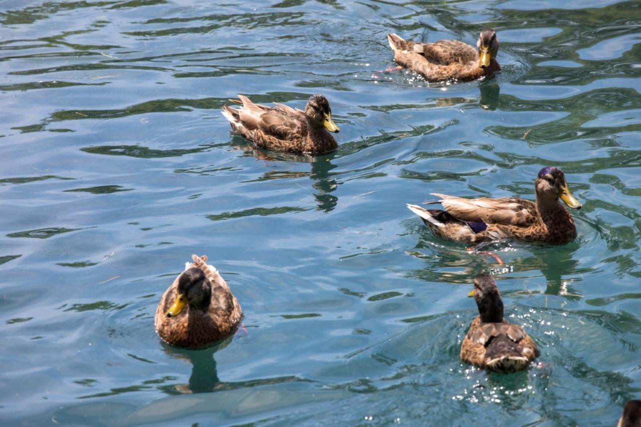 מלון מונטיניאק Le Moulin Du Bleufond מראה חיצוני תמונה